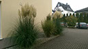 IMAG1829